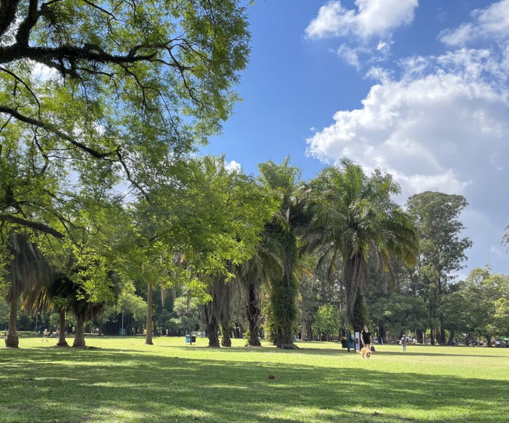 晴れの日のイビラプエラ公園 サンパウロ自堕落道楽日記